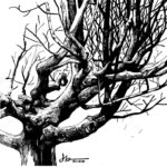 Jason Latour Instagram - More studies of trees. Swipe for a better look. 👈 For comics and more join my NEWSLETTER at the link in bio. #lifedrawing #trees #tree #sketchbook #comics #cartoonist