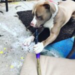 Jason Miller Instagram – BRICKTOP AT WORK ON THE NEW MIC STAND. Mayhem Miller Industries, LLC