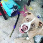 Jason Miller Instagram – BRICKTOP AT WORK ON THE NEW MIC STAND. Mayhem Miller Industries, LLC