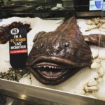 Jason Miller Instagram – HEY KIDS! It’s me Chet, the monkey fish, reminding you to listen to the Mayhem Podcast, and look out for the live show, tomorrow at 4:30 pm! GLUG GLUG GLUG Mayhem Miller Industries, LLC