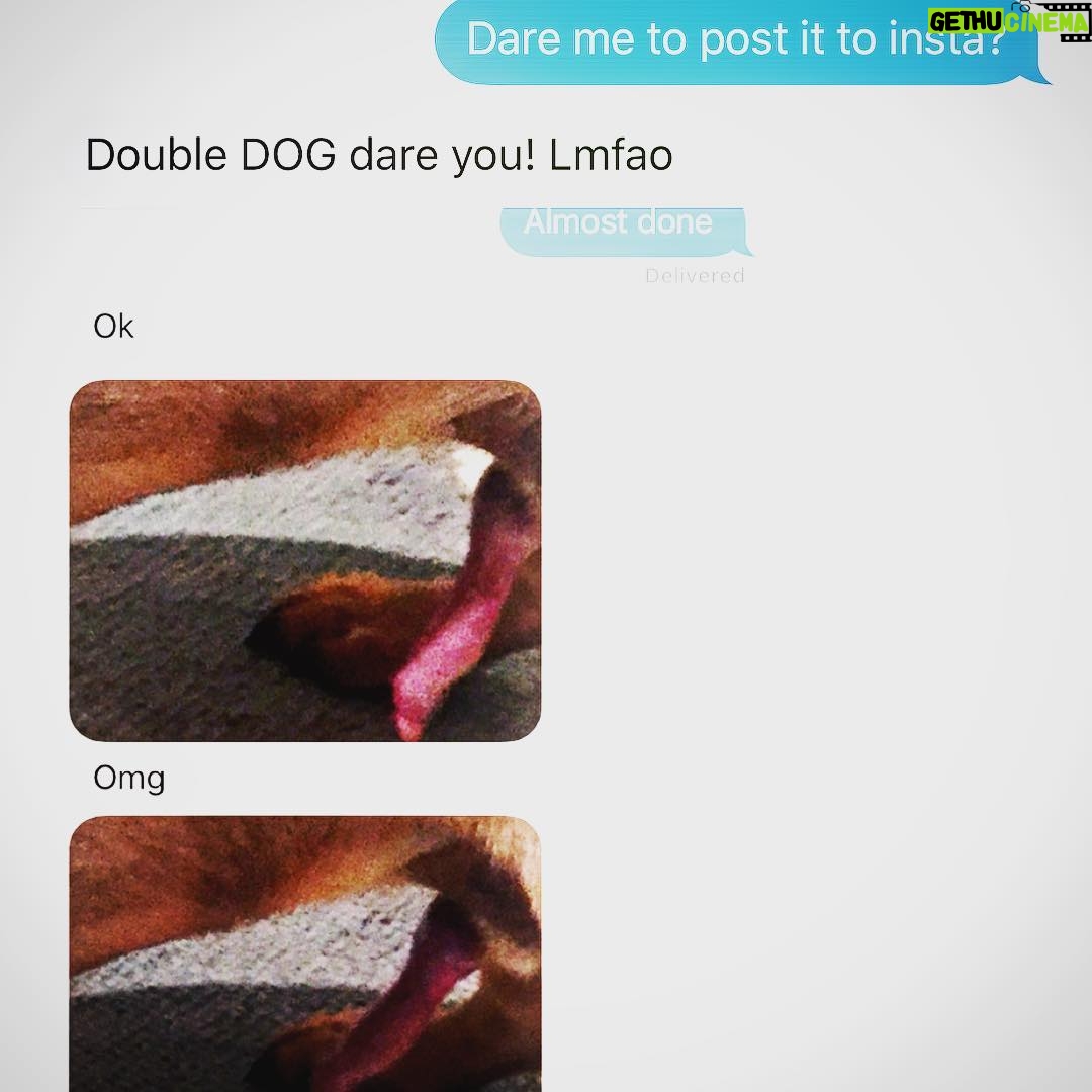 Jason Miller Instagram - My sister, Megan, double dog dared me to post a pic of my Mom's Weiner dogs' first BONER.
