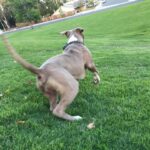 Jason Miller Instagram - I'M OUT!