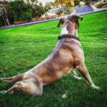 Jason Miller Instagram - Checking the scene...