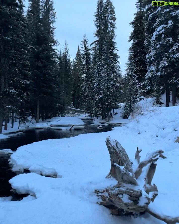 Jason Momoa Instagram - HAPPY NEW YEAR from @meilivodka rest relax recharge in nature with my Ohana. All my aloha to everyone 2024 is gonna be amazing. Miss you toddy. Aloha j&B