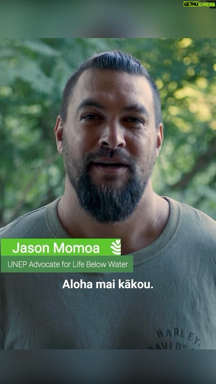 Jason Momoa Instagram - A big triumph for mangroves in Sri Lanka! Jason Momoa presents the new #GenerationRestoration Flagship “Mangrove Regeneration in Sri Lanka”! Mangrove forests play critical roles in Sri Lanka’s economy and climate resilience but are rapidly degrading due to the impact of the climate crisis and pollution. The country’s relentless work on perfecting the planting of mangroves led to an increase of the mangrove cover across the country by 50% and shows how restoration must be a long-term investment. Sri Lanka’s experience is a leading example of sustainable and effective mangrove restoration. Stay tuned to discover Sri Lanka’s tactics to nurture and grow mangroves.