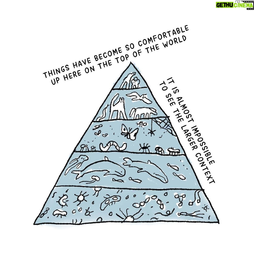 Jason Momoa Instagram - What happens if we look outside our man-made window...? ๐๐ฑ๐ช๐๐ Standing up against commercial whaling is part of changing the way we view nature and our surroundings. How we treat everything we rely on. Thank you for - Speaking up Communicating Sharing Signing Writing Making art Loving Being in nature Looking out of the window Helping other living beings Doing what you can do Being compassionate to others about what they can do Petition to end commercial whaling in Iceland: Go to LINK IN BIO @herahilmar & @hvalavinir (please donโt donate to change.org, none of it goes to the cause) To support and donate to the cause you can buy Hvalavinir (Friendโs of Whales) a coffee: LINK IN BIO @herahilmar & @hvalavinir - anything helps keep the work going ๐๐๐ And last โก๏ธ โจTomorrow Saturday night 24/2/2024 come to @tjarnarbio Reykjavik and enjoy music and talks about whales and their language. TICKET LINK IN BIO @herahilmar & @hvalavinir. See you there ๐ Drawings by @ranflygenring โ๏ธ