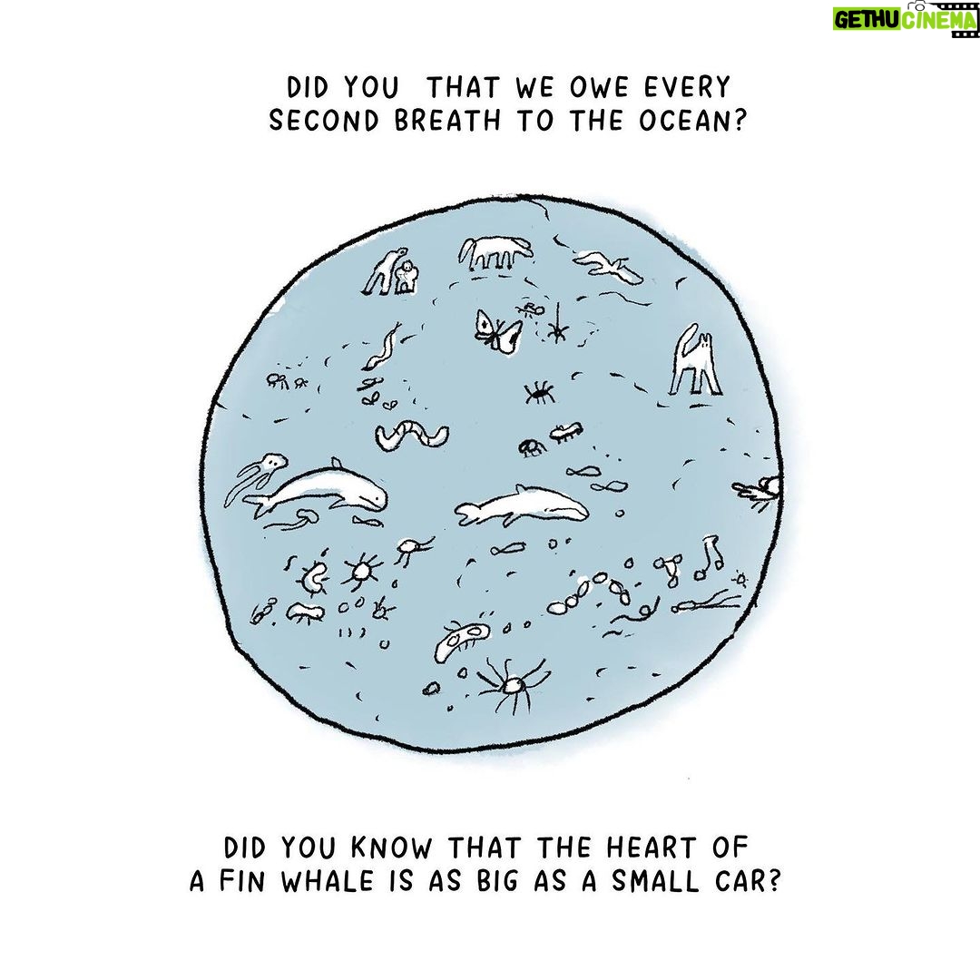 Jason Momoa Instagram - What happens if we look outside our man-made window...? ๐๐ฑ๐ช๐๐ Standing up against commercial whaling is part of changing the way we view nature and our surroundings. How we treat everything we rely on. Thank you for - Speaking up Communicating Sharing Signing Writing Making art Loving Being in nature Looking out of the window Helping other living beings Doing what you can do Being compassionate to others about what they can do Petition to end commercial whaling in Iceland: Go to LINK IN BIO @herahilmar & @hvalavinir (please donโt donate to change.org, none of it goes to the cause) To support and donate to the cause you can buy Hvalavinir (Friendโs of Whales) a coffee: LINK IN BIO @herahilmar & @hvalavinir - anything helps keep the work going ๐๐๐ And last โก๏ธ โจTomorrow Saturday night 24/2/2024 come to @tjarnarbio Reykjavik and enjoy music and talks about whales and their language. TICKET LINK IN BIO @herahilmar & @hvalavinir. See you there ๐ Drawings by @ranflygenring โ๏ธ
