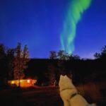 Jasper Pääkkönen Instagram – Phone shots with 3sec shutter.
Awesome aurora borealis on the northern sky last night. #auroraborealis #northernlights #revontulet #samoyed