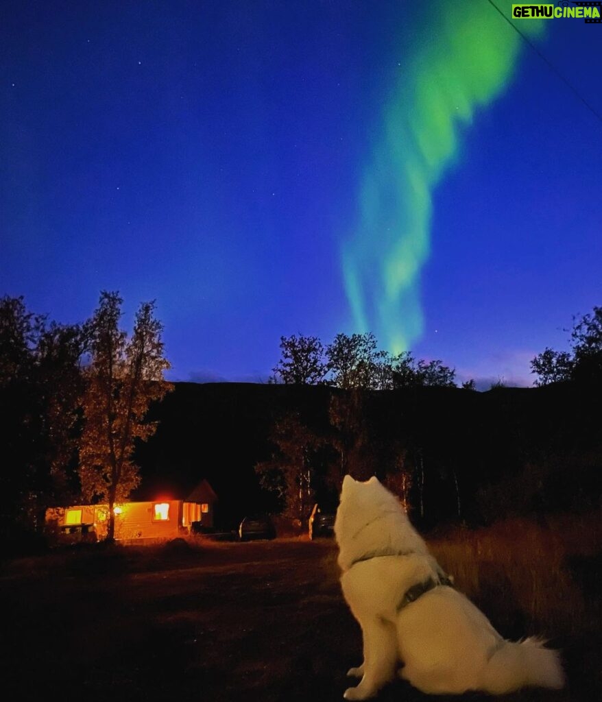 Jasper Pääkkönen Instagram - Phone shots with 3sec shutter. Awesome aurora borealis on the northern sky last night. #auroraborealis #northernlights #revontulet #samoyed