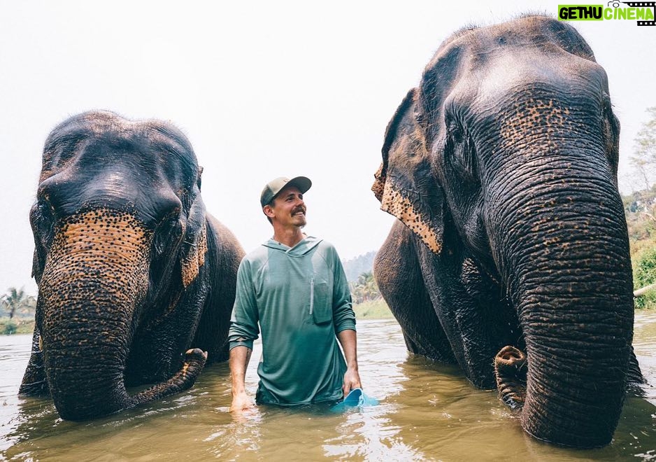 Jasper Pääkkönen Instagram - Bathing my new amigos at @elephantrescuepark in northern Thailand. These elephants are rescued from the logging industry, riding camps, circuses and other poor conditions. 📷: @real_rastivo #happyelephant #dumbo