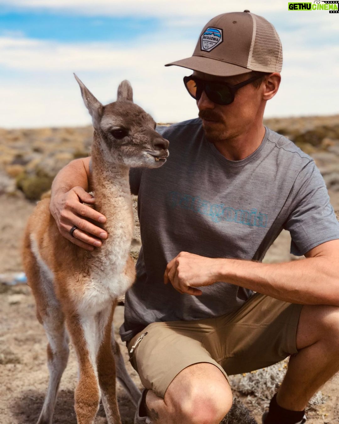 Jasper Pääkkönen Instagram - Swipe for videos 👉🏼 Back to our road trip in Patagonia a few weeks ago! As we were driving from Chile to El Calafate and on to @jurassiclake lodge we saw something move on the side of the dirt road. A cute creature was struggling to get up on it’s feet. We got out of the car, saw it was a newborn guanaco lying next to it’s own placenta, and helped him up. At first it seemed a bit scared, but after a minute or two it clearly started getting attached to us wanting our attention. We weren’t quite ready to become parents to a guanaco so we drove off to see if it’s parents would return, and after a short moment they ran to him for what seemed like a happy reunion. One of the unexpected highlights of the trip. #jurassiclake #guanaco #elcalafate #patagoniaargentina