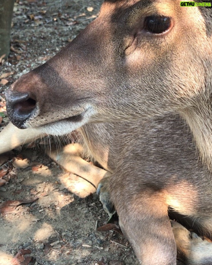 Jasper Pääkkönen Instagram - (Kaupallinen yhteistyö @dna_fi) - Mahtava työreissu Thaimaahan takanapäin. Vapaapäivinä testissä @huaweimobilefi:n uusin P30Pro joka kulki mukana viidakossa, vesiputouksilla ja luolissa. Tässä pari vikaa Chiang Mai -fiilistelyä. Ps. tämän kaupallisen yhteistyön myötä tulossa uutisia eräästä hyväntekeväisyystempauksesta Suomen luonnon puolesta - siitä lisää pian. #dna_fi #DNAtesti #HuaweiP30Pro #Valokuvauksenuusiulottuvuus