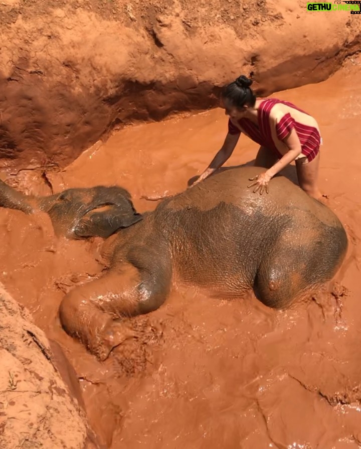 Jasper Pääkkönen Instagram - (Kaupallinen yhteistyö @dna_fi) - Mahtava työreissu Thaimaahan takanapäin. Vapaapäivinä testissä @huaweimobilefi:n uusin P30Pro joka kulki mukana viidakossa, vesiputouksilla ja luolissa. Tässä pari vikaa Chiang Mai -fiilistelyä. Ps. tämän kaupallisen yhteistyön myötä tulossa uutisia eräästä hyväntekeväisyystempauksesta Suomen luonnon puolesta - siitä lisää pian. #dna_fi #DNAtesti #HuaweiP30Pro #Valokuvauksenuusiulottuvuus