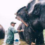 Jasper Pääkkönen Instagram – Bathing my new amigos at @elephantrescuepark in northern Thailand. These elephants are rescued from the logging industry, riding camps, circuses and other poor conditions. 📷: @real_rastivo #happyelephant #dumbo