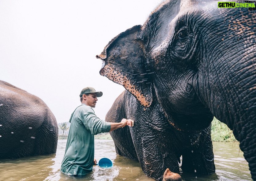Jasper Pääkkönen Instagram - Bathing my new amigos at @elephantrescuepark in northern Thailand. These elephants are rescued from the logging industry, riding camps, circuses and other poor conditions. 📷: @real_rastivo #happyelephant #dumbo