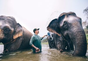 Jasper Pääkkönen Instagram - Bathing my new amigos at @elephantrescuepark in northern Thailand. These elephants are rescued from the logging industry, riding camps, circuses and other poor conditions. 📷: @real_rastivo #happyelephant #dumbo