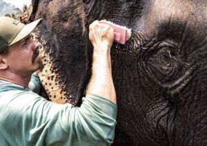 Jasper Pääkkönen Instagram - Bathing my new amigos at @elephantrescuepark in northern Thailand. These elephants are rescued from the logging industry, riding camps, circuses and other poor conditions. 📷: @real_rastivo #happyelephant #dumbo