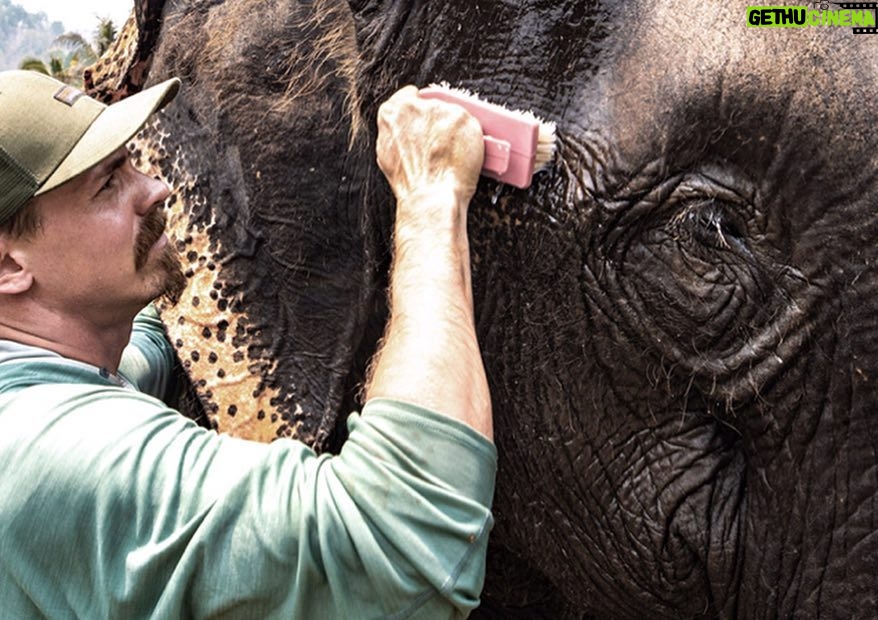 Jasper Pääkkönen Instagram - Bathing my new amigos at @elephantrescuepark in northern Thailand. These elephants are rescued from the logging industry, riding camps, circuses and other poor conditions. 📷: @real_rastivo #happyelephant #dumbo