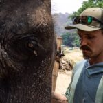 Jasper Pääkkönen Instagram – Bathing my new amigos at @elephantrescuepark in northern Thailand. These elephants are rescued from the logging industry, riding camps, circuses and other poor conditions. 📷: @real_rastivo #happyelephant #dumbo