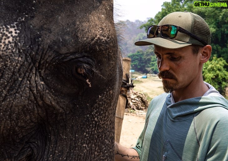 Jasper Pääkkönen Instagram - Bathing my new amigos at @elephantrescuepark in northern Thailand. These elephants are rescued from the logging industry, riding camps, circuses and other poor conditions. 📷: @real_rastivo #happyelephant #dumbo