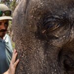 Jasper Pääkkönen Instagram - Bathing my new amigos at @elephantrescuepark in northern Thailand. These elephants are rescued from the logging industry, riding camps, circuses and other poor conditions. 📷: @real_rastivo #happyelephant #dumbo