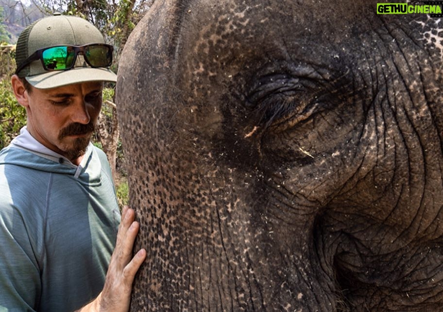 Jasper Pääkkönen Instagram - Bathing my new amigos at @elephantrescuepark in northern Thailand. These elephants are rescued from the logging industry, riding camps, circuses and other poor conditions. 📷: @real_rastivo #happyelephant #dumbo