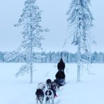 Jasper Pääkkönen Instagram – Xmas greetings from Levi, Lapland @travisfimmel #merrychristmas #levilapland #valhalla @leviniglut #visitlevi Valhalla