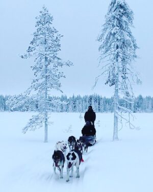Jasper Pääkkönen Instagram - Xmas greetings from Levi, Lapland @travisfimmel #merrychristmas #levilapland #valhalla @leviniglut #visitlevi