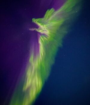 Jasper Pääkkönen Instagram - Phone shots with 3sec shutter.
Awesome aurora borealis on the northern sky last night. #auroraborealis #northernlights #revontulet #samoyed