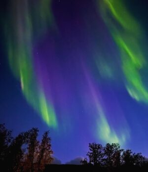 Jasper Pääkkönen Instagram - Phone shots with 3sec shutter.
Awesome aurora borealis on the northern sky last night. #auroraborealis #northernlights #revontulet #samoyed