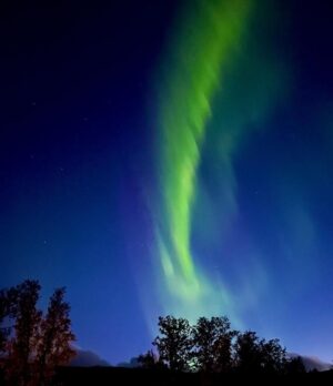 Jasper Pääkkönen Instagram - Phone shots with 3sec shutter.
Awesome aurora borealis on the northern sky last night. #auroraborealis #northernlights #revontulet #samoyed
