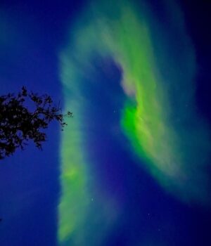 Jasper Pääkkönen Instagram - Phone shots with 3sec shutter.
Awesome aurora borealis on the northern sky last night. #auroraborealis #northernlights #revontulet #samoyed