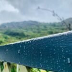 Jay Ryan Instagram - The first sprinkle of rain in 40 days and 40 nights... Phew! 🌧 it’s a dry, dry summer.