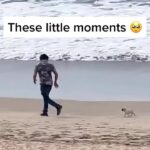 Jay Shetty Instagram - Leave a ❤️ below for this👇 I think we may have caught a core memory in the making here 🥲 via xixpardo03 on tiktok