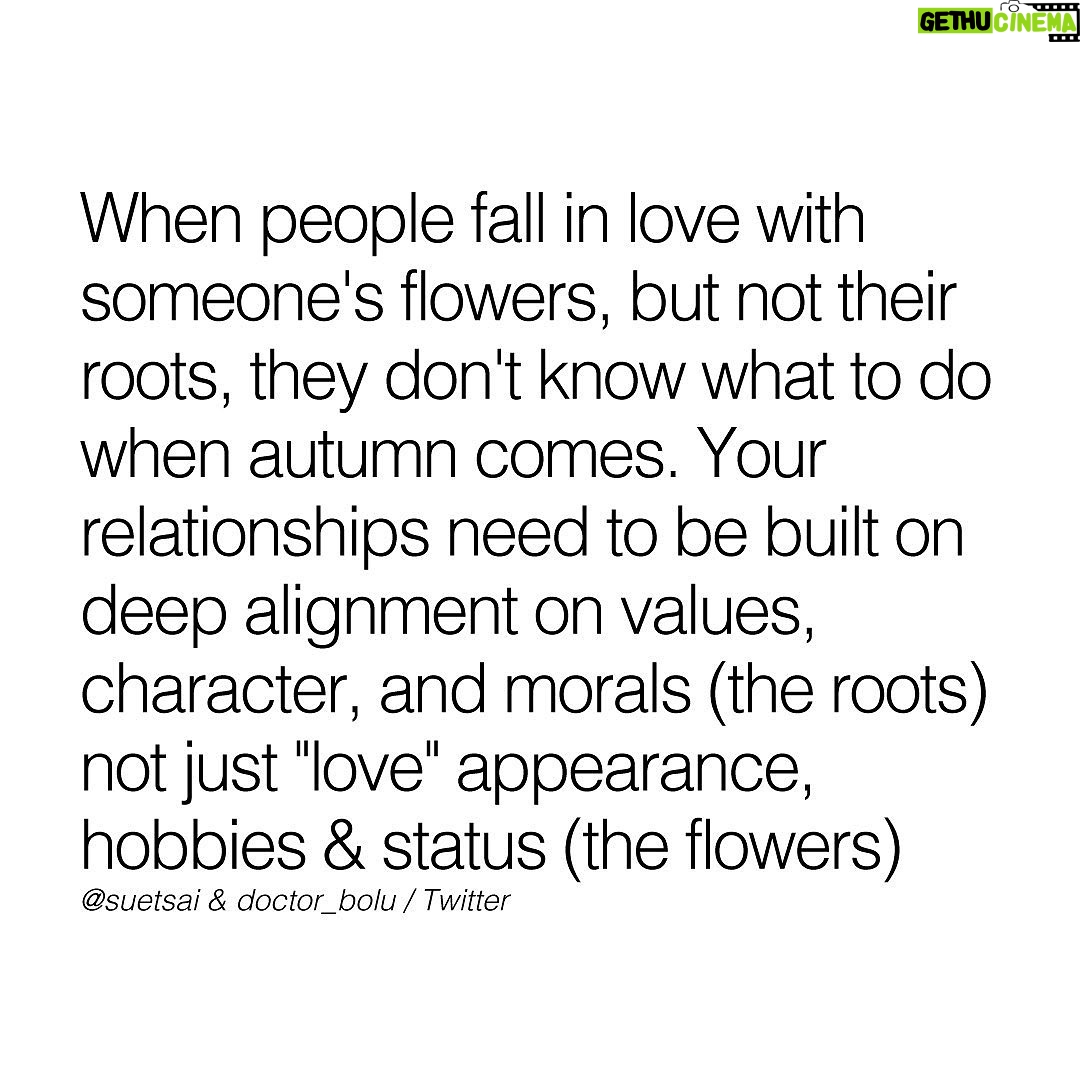 Jay Shetty - 341K Likes - Leave a "YES" below if you agree👇 Every relationship will have difficult moments. The roots will help you get through the tough times ❤️