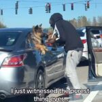 Jay Shetty Instagram - Send this to someone to make their day ❤️ Imagine seeing this ahead of you at the traffic light 🥹 via @todayyearsold / Celina Romera / Caters News