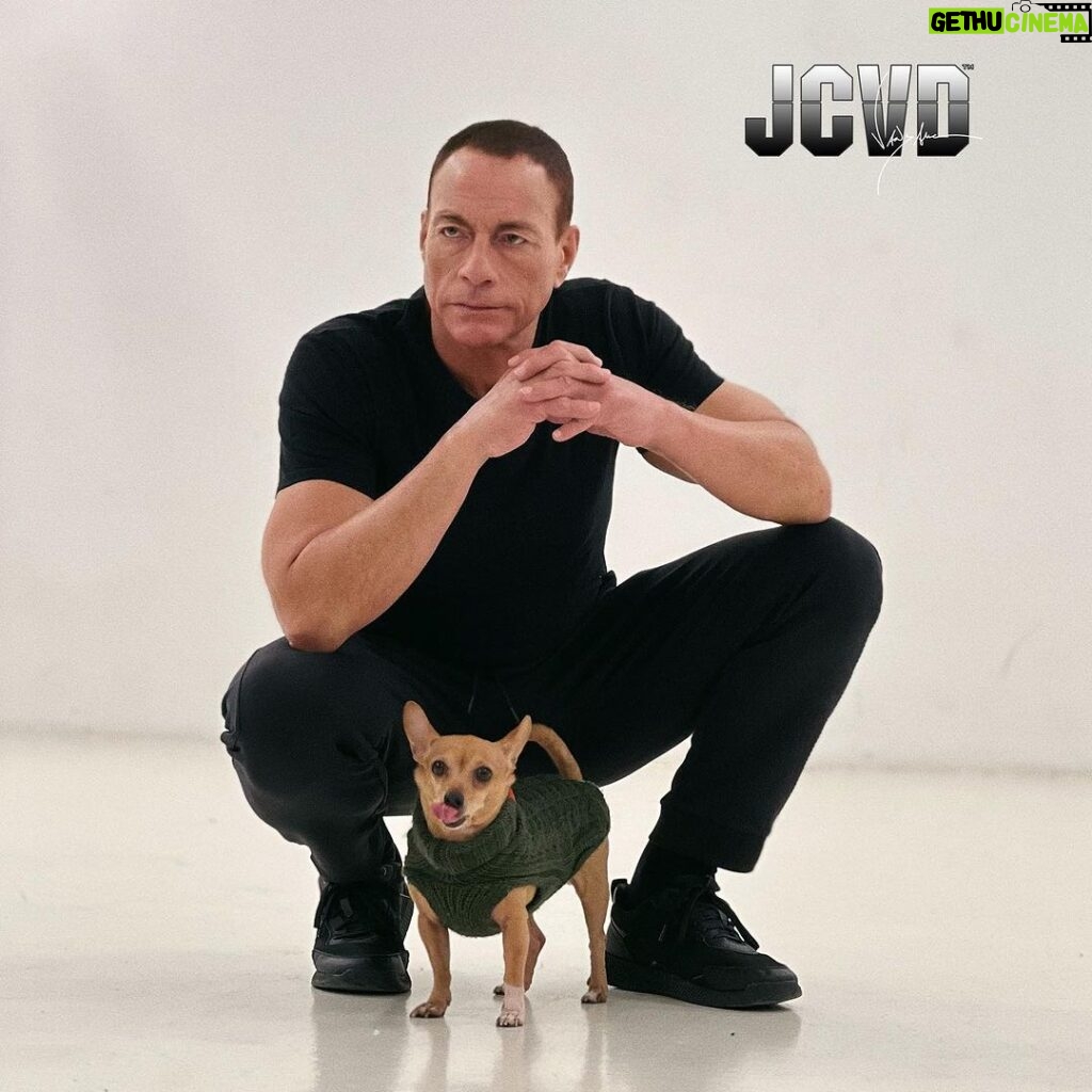 Jean-Claude Van Damme Instagram - My Lola has a new account 😁 Follow not to miss adventures with her friends 📸🐕🐾#jcvd #vandamme #dog #dogsofinstagram #love #friends #happiness #travel #family