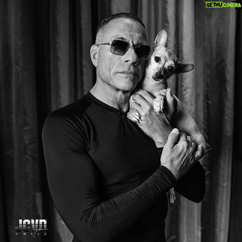 Jean-Claude Van Damme Instagram - #JCVD & #Lola 📷 @nikosaliagas