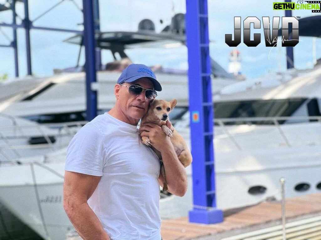 Jean-Claude Van Damme Instagram - Do you have a pet? What is her(his) name ? Tag me #jcvd in a photo with your pet 🐾 #animals #pet