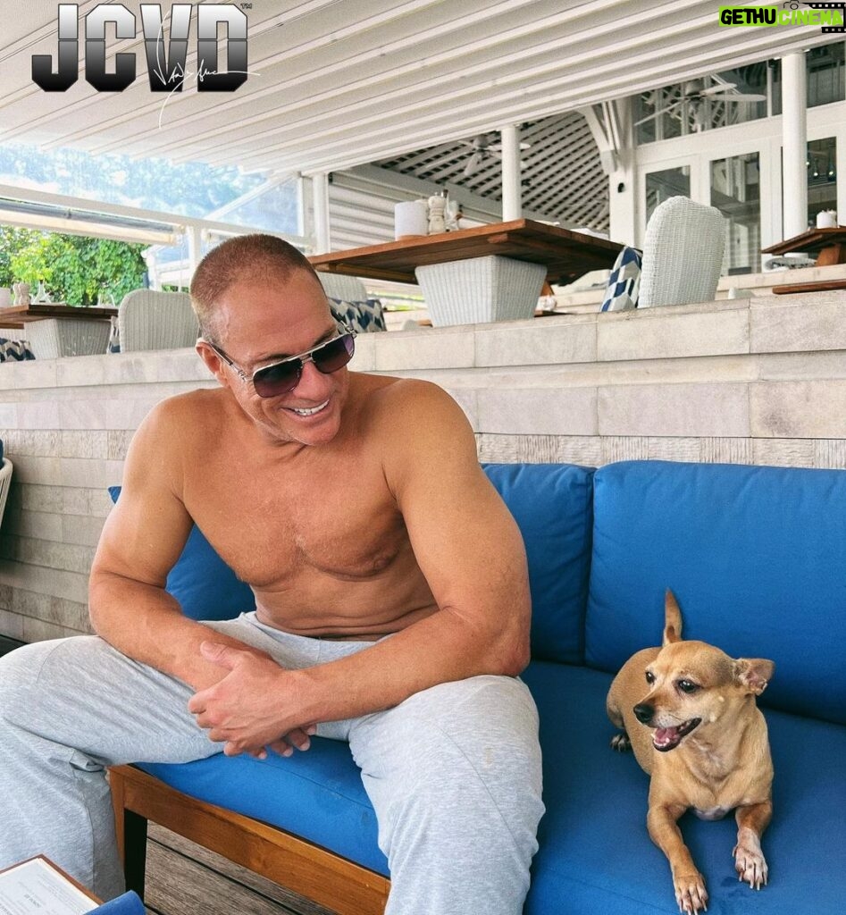 Jean-Claude Van Damme Instagram - With my best friend 🐕 waiting for a lunch 🍜 after training 💪🏼 #jcvd #dog #lunch