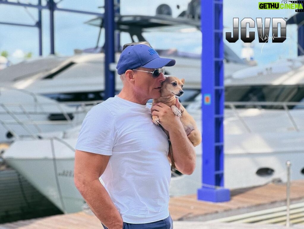 Jean-Claude Van Damme Instagram - Do you have a pet? What is her(his) name ? Tag me #jcvd in a photo with your pet 🐾 #animals #pet