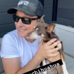 Jean-Marc Généreux Instagram - Bon dimanche à toutes et à tous !!! Bientôt je vais vous annoncer une super collaboration avec @m2boutiques & @m2generation …#OhlalaChihuahua !!! À Suivre !!! M/2 Boutiques Quartier DIX30