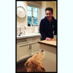 Jeanne Tripplehorn Instagram - I love you. ⁣ ⁣ Jones.⁣ ⁣ #goldenretriever #dogsofinstagram