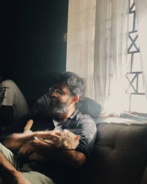 Jeevan Mammen Stephen Instagram - ഇവിടത്തെ ക്യാറ്റണ് ക്യാറ്റ് ☀️🐱@simba_persianboy 
📸: @strom.ae 
#weekendvibes #sunkissed #catlove