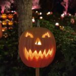 Jeffrey Cobb Instagram – Happy Halloweenie to all! Be safe, eat your candies and don’t forget to tip your waitresses! #JeffCobb #Huistenbosch #Exploring #Halloween #PumpkinsAreScary #HappyHalloween HUIS TEN BOSCH 長崎県