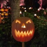 Jeffrey Cobb Instagram - Happy Halloweenie to all! Be safe, eat your candies and don’t forget to tip your waitresses! #JeffCobb #Huistenbosch #Exploring #Halloween #PumpkinsAreScary #HappyHalloween HUIS TEN BOSCH 長崎県