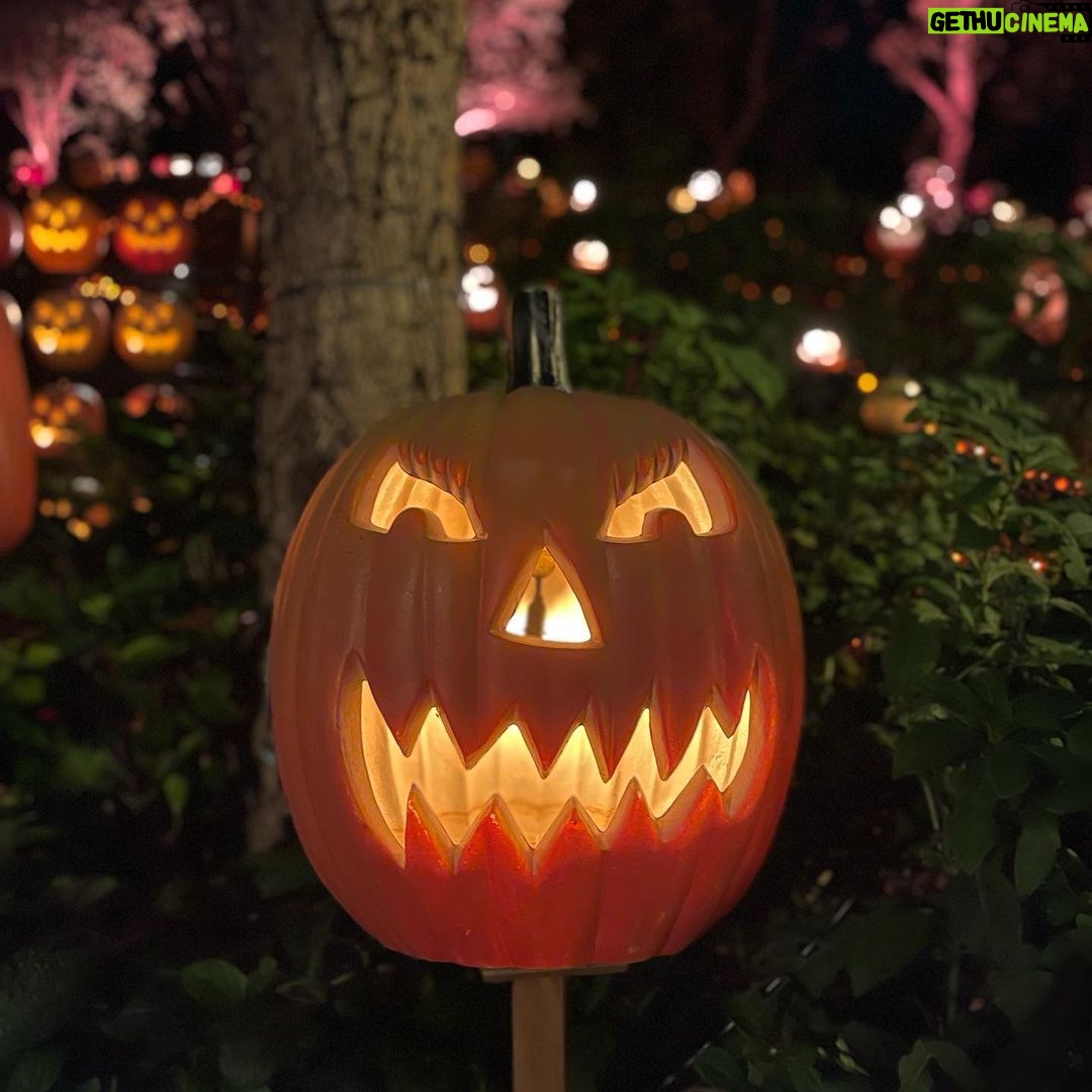 Jeffrey Cobb Instagram - Happy Halloweenie to all! Be safe, eat your candies and don’t forget to tip your waitresses! #JeffCobb #Huistenbosch #Exploring #Halloween #PumpkinsAreScary #HappyHalloween HUIS TEN BOSCH 長崎県