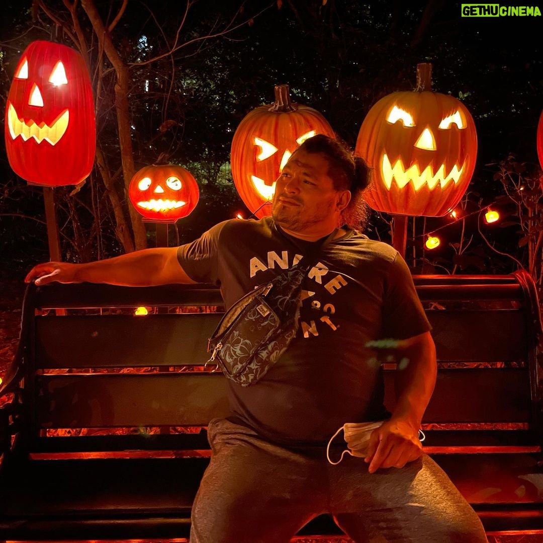 Jeffrey Cobb Instagram - Happy Halloweenie to all! Be safe, eat your candies and don’t forget to tip your waitresses! #JeffCobb #Huistenbosch #Exploring #Halloween #PumpkinsAreScary #HappyHalloween HUIS TEN BOSCH 長崎県