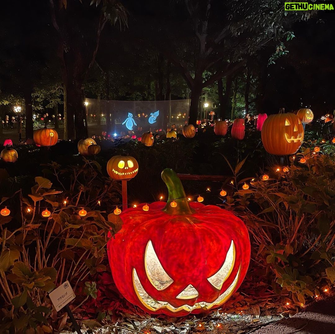 Jeffrey Cobb Instagram - Happy Halloweenie to all! Be safe, eat your candies and don’t forget to tip your waitresses! #JeffCobb #Huistenbosch #Exploring #Halloween #PumpkinsAreScary #HappyHalloween HUIS TEN BOSCH 長崎県