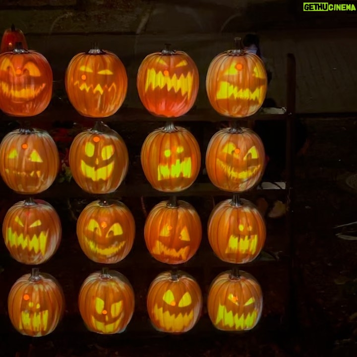 Jeffrey Cobb Instagram - Happy Halloweenie to all! Be safe, eat your candies and don’t forget to tip your waitresses! #JeffCobb #Huistenbosch #Exploring #Halloween #PumpkinsAreScary #HappyHalloween HUIS TEN BOSCH 長崎県